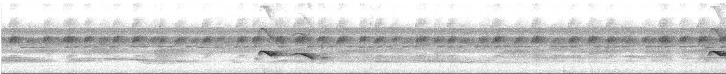 Ringed Antpipit - ML645191449