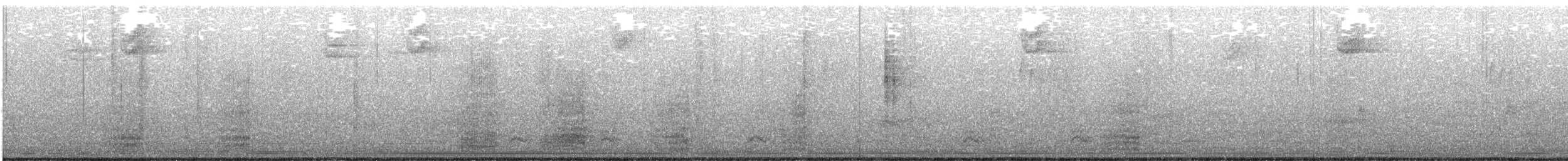 Koartza hauskara amerikarra - ML645191510