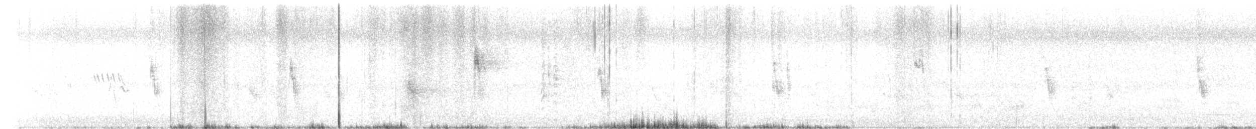 Eastern Spot-billed Duck - ML645191590