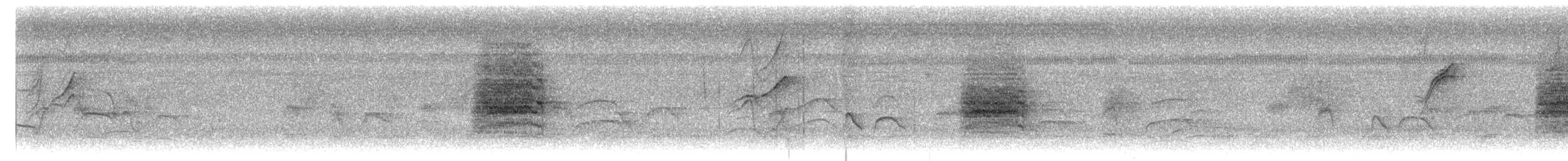 Southern House Wren - ML645191860