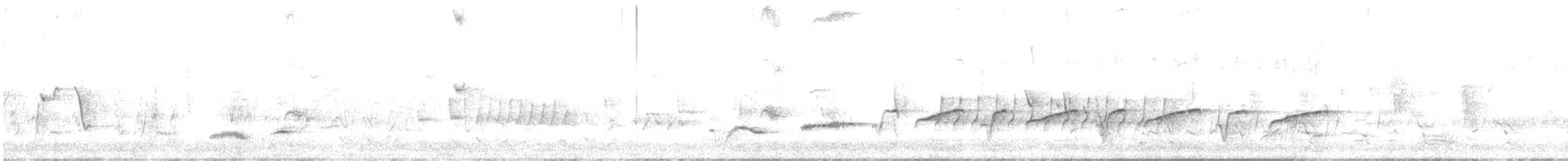 Painted Honeyeater - ML645192149