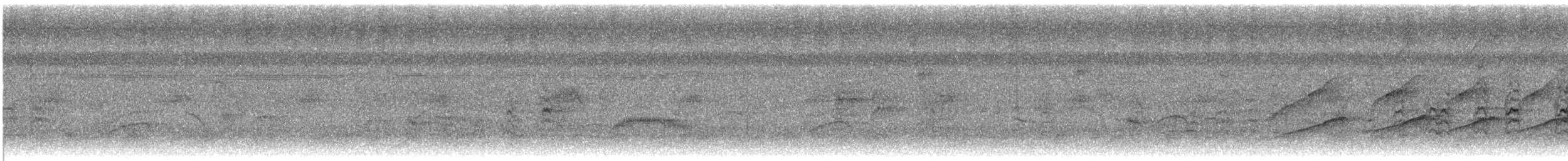 Veraguasittich - ML645192393