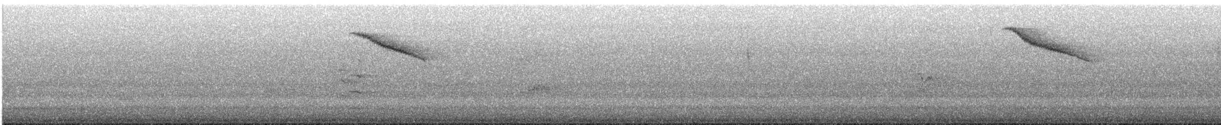 Bassian Thrush - ML645192482