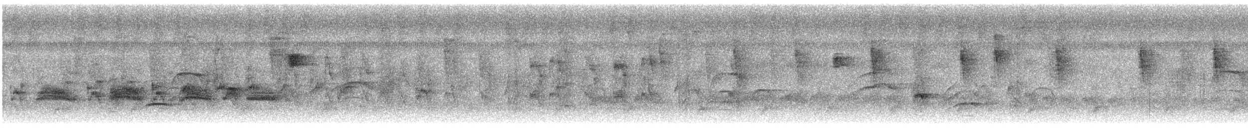 Желтобрюхая эления - ML645192553