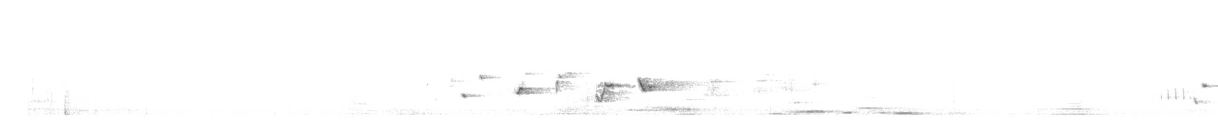 Gartenfächerschwanz - ML645193193