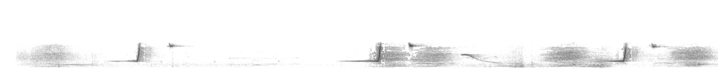 Schlichtmantel-Dickkopf - ML645193400