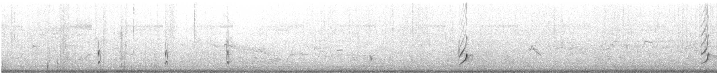 Javaregenpfeifer - ML645193727