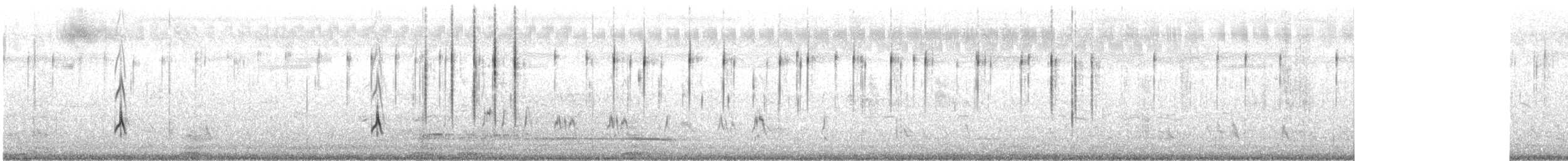 Blauschwanzspint - ML645193745