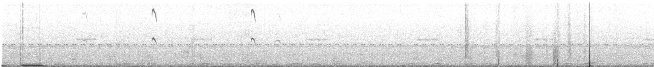 Weißschwanz-Nachtschwalbe - ML645193905