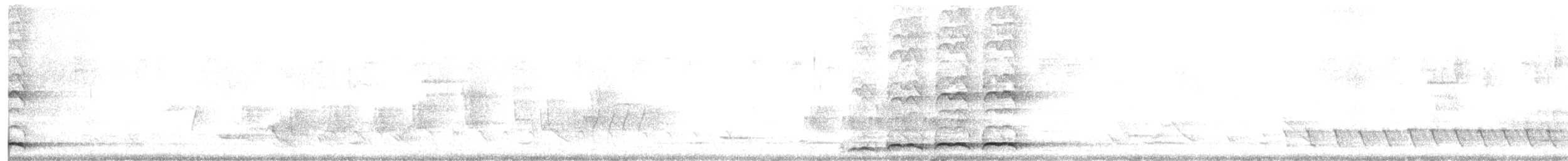 Pazifikkoel - ML645193921