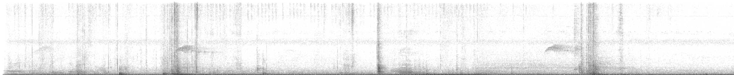 Waldschnäppertyrann - ML645194245