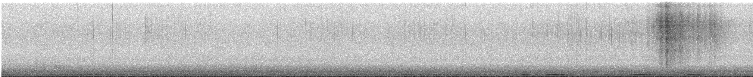 Virginiauhu - ML645194631