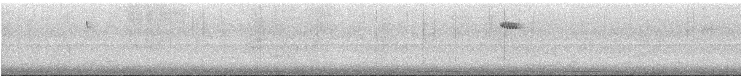 Amerikabaumläufer - ML645194638