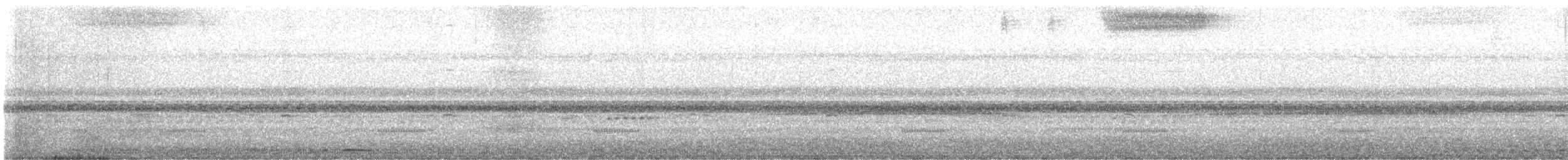 Tropical Screech-Owl - ML645194809