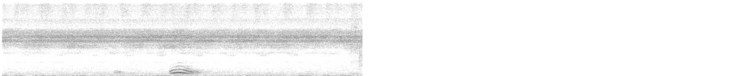 Black-and-white Owl - ML645194993