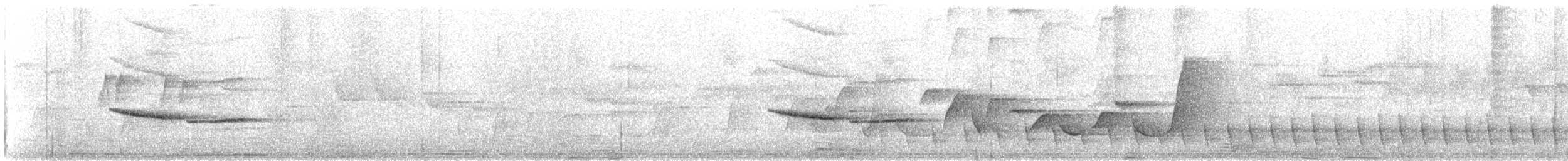 Russet-tailed Thrush - ML645195566