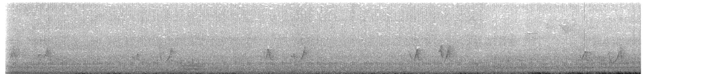 Black-whiskered Vireo - ML645195629