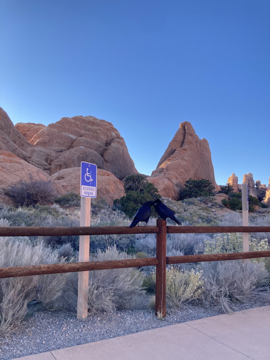 Erroi handia - ML645195662