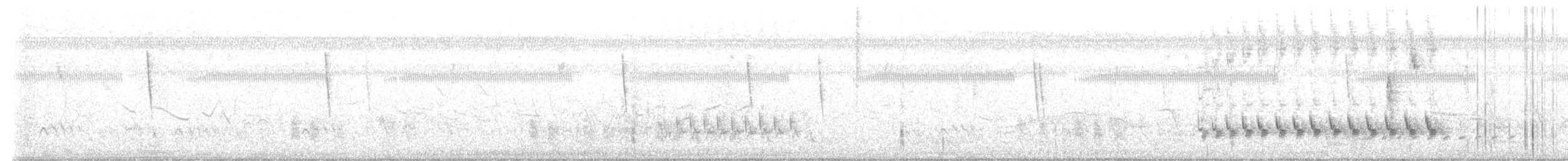 Sinsonte Tropical (Norteño) - ML645196956