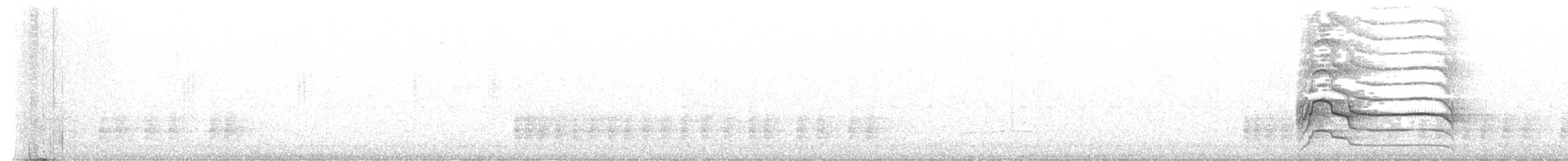 Busardo Caminero (grupo magnirostris) - ML645196992