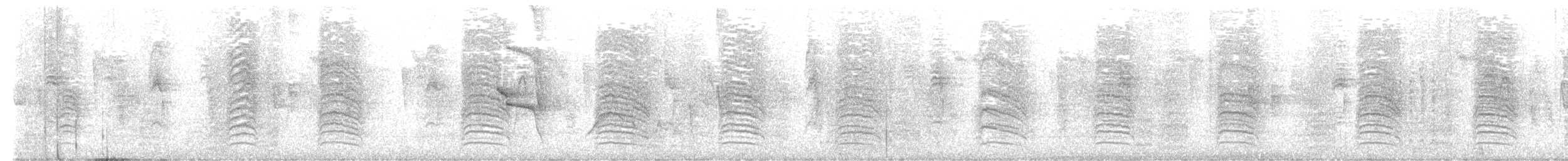 Pájaro Gato Gris - ML645196998