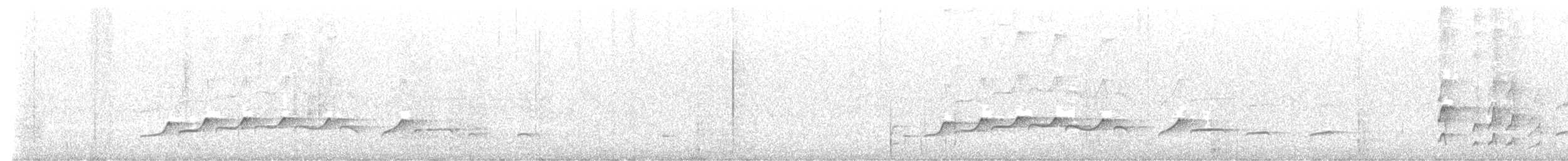 Atila Polimorfo (grupo flammulatus) - ML645197004