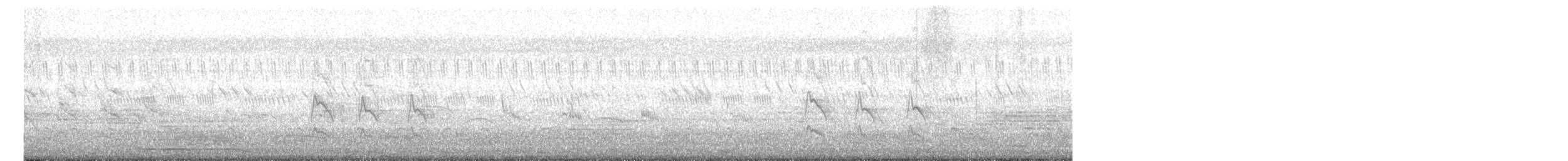 halsbåndparakitt - ML645197102