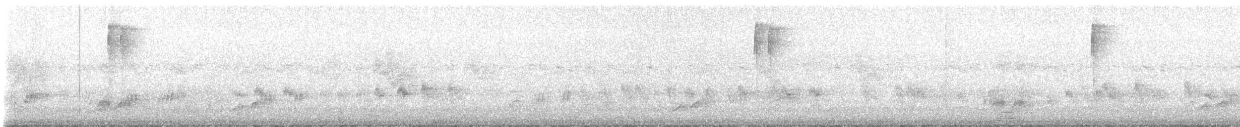 skjellkronestubbstjert - ML645197243