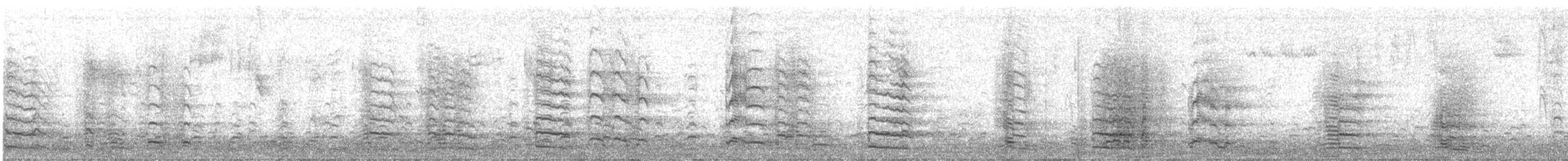 Greater White-fronted Goose - ML645197372