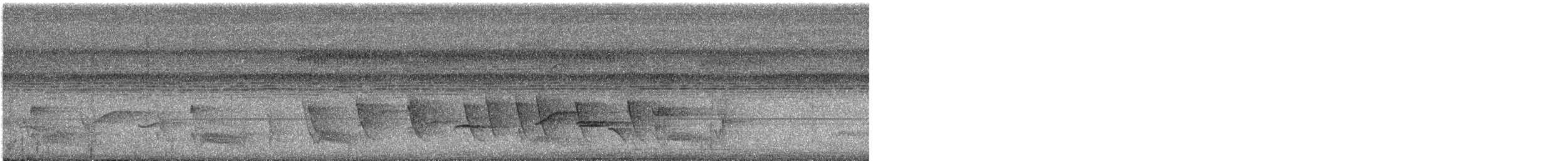 Black-and-yellow Broadbill - ML645197375