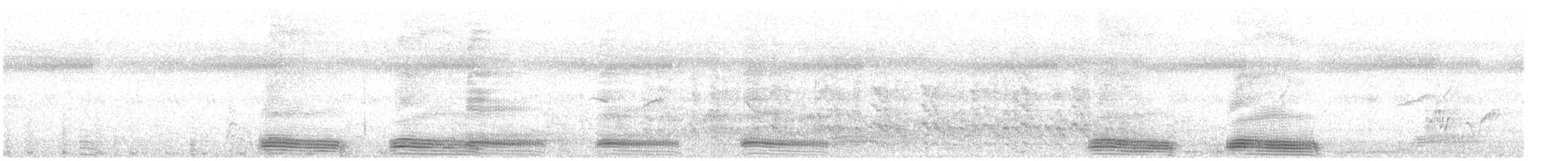 Большеклювая ворона (levaillantii) - ML645197984