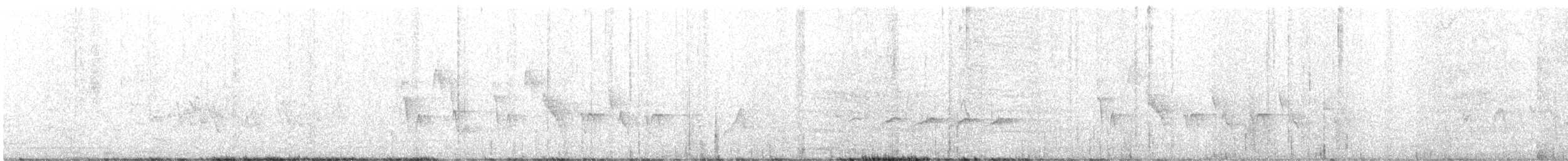 Broad-billed Flycatcher - ML645198121