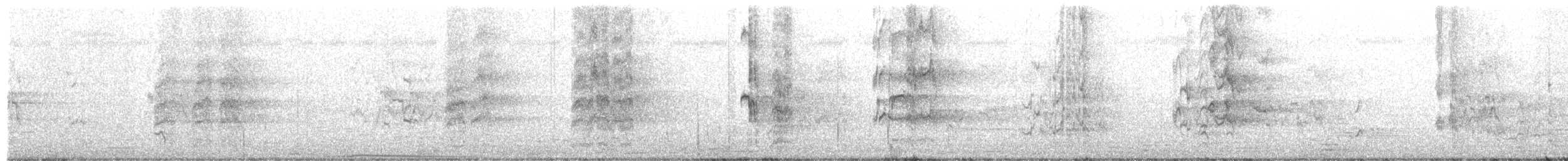 Torresian Imperial-Pigeon - ML645198729