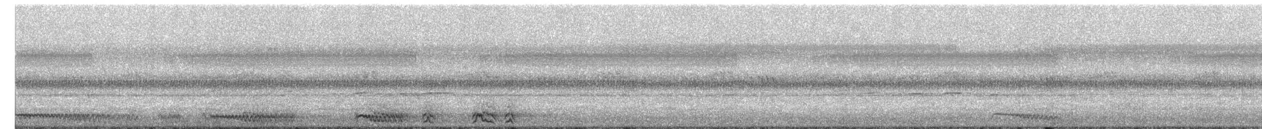 Jungle Owlet - ML645200619