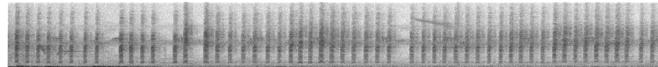 Brown Shrike - ML645200630