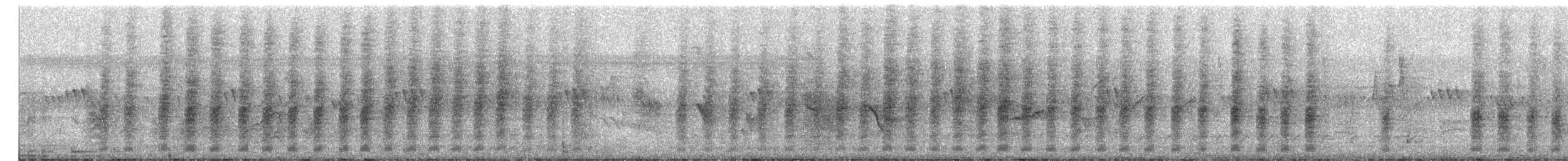 Brown Shrike - ML645200631