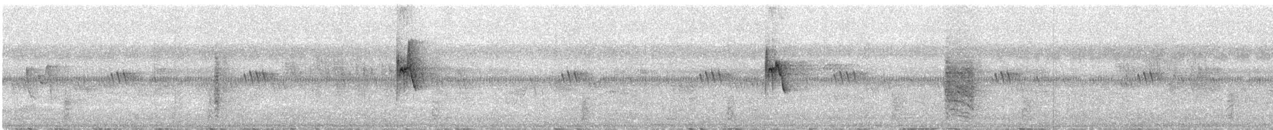 Greenish Warbler - ML645200632