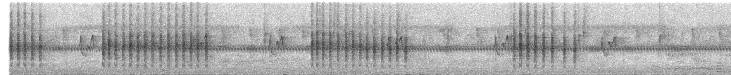 Brown Shrike - ML645200633