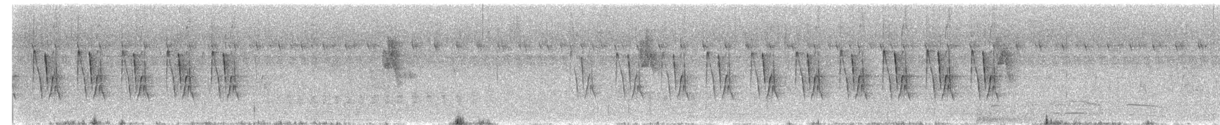 Jungle Prinia - ML645200641