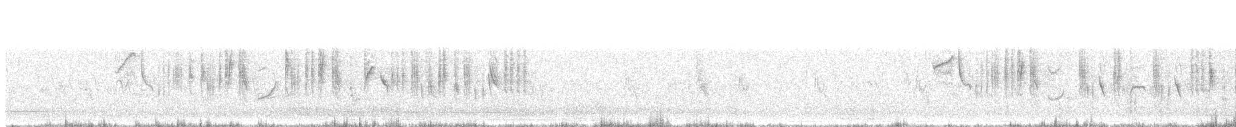 Txinbo burubeltza - ML645200844