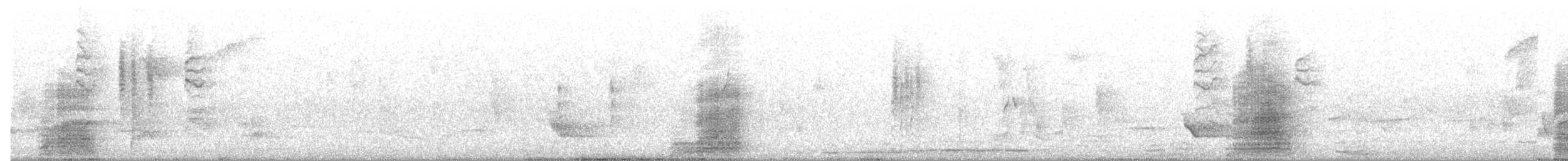 Yellow-tailed Black-Cockatoo - ML645200917