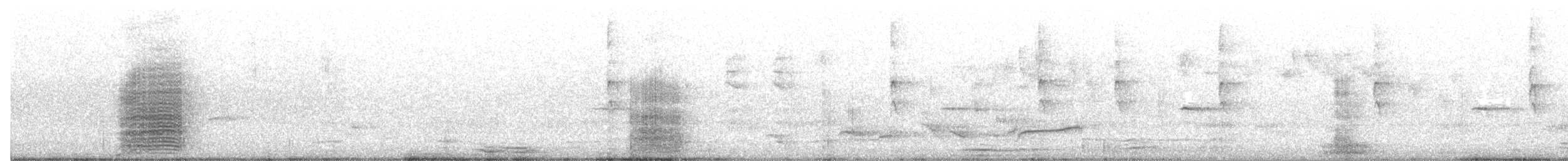 Yellow-tailed Black-Cockatoo - ML645200918