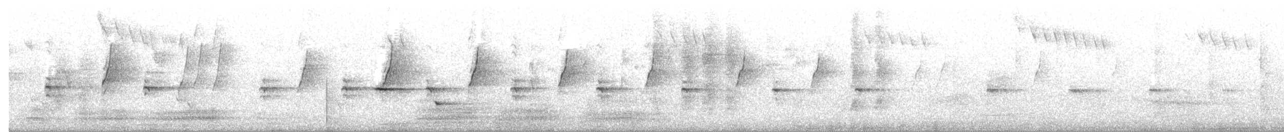 Eastern Spinebill - ML645200923