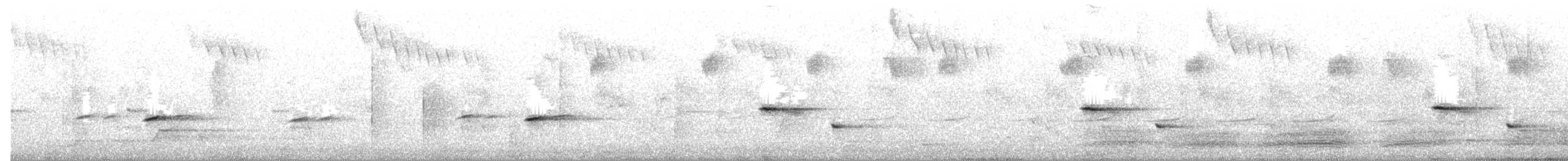 Spotted Pardalote - ML645200944