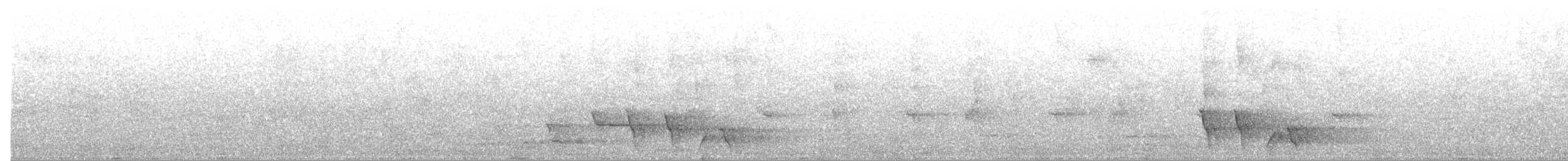 Gray Shrikethrush - ML645201000