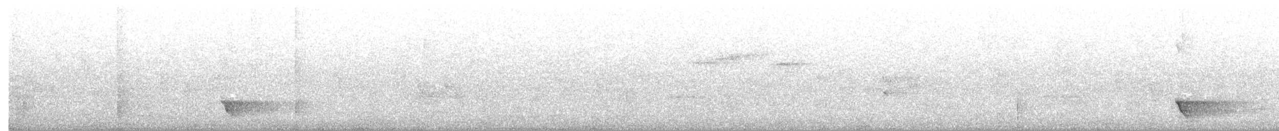 Gray Shrikethrush - ML645201001