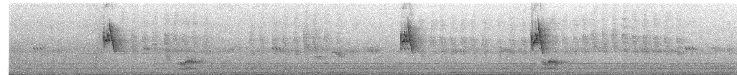 Txio berdexka - ML645201156