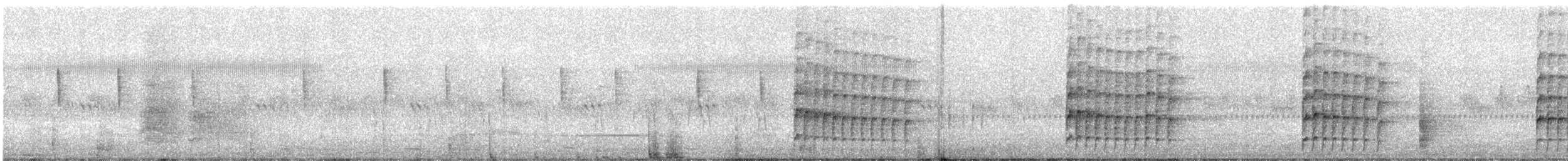 White-naped Woodpecker - ML645201173