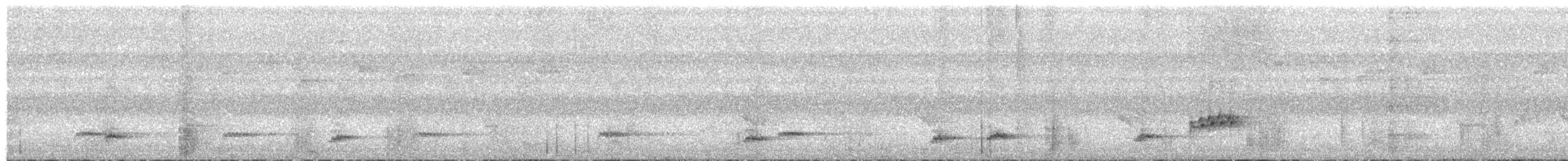 Black-eared Barbet - ML645201747