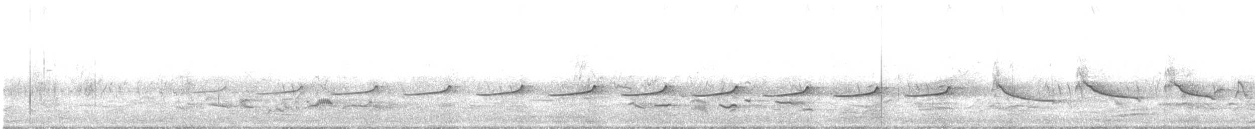 kukačka blýskavá - ML645202072